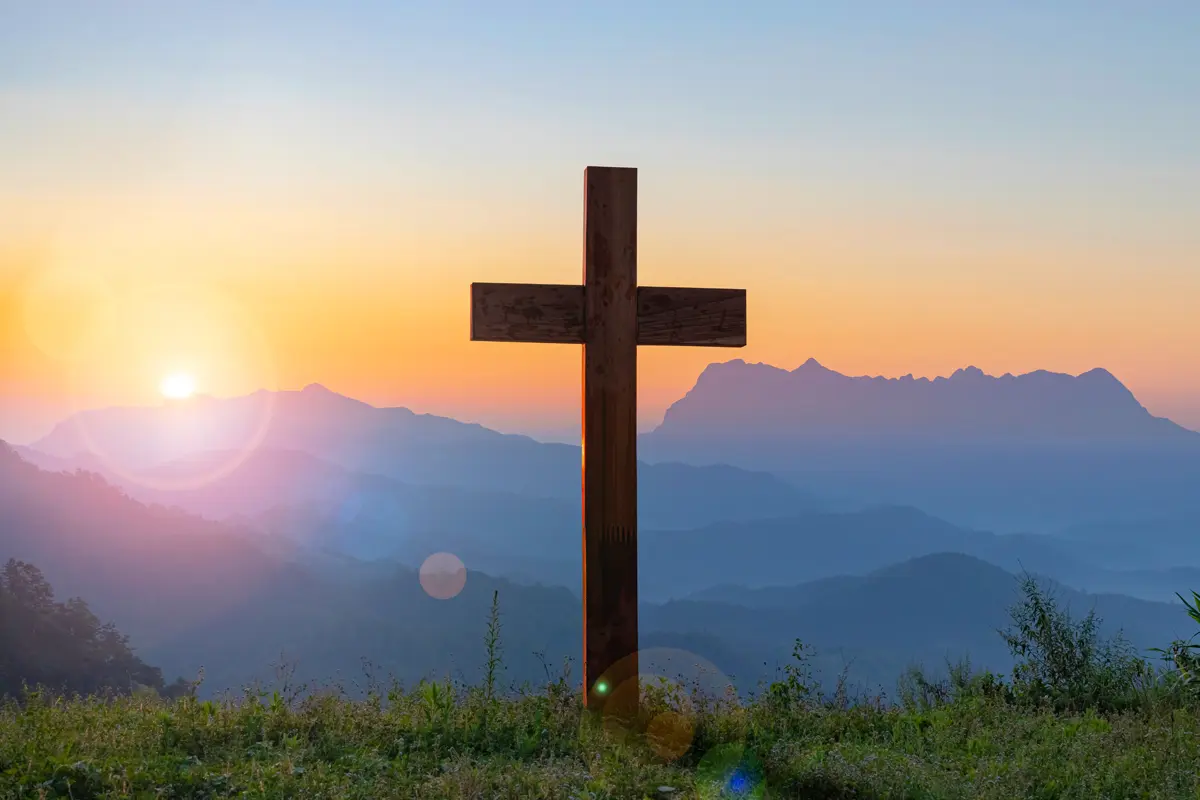 About Adobestock 313782266